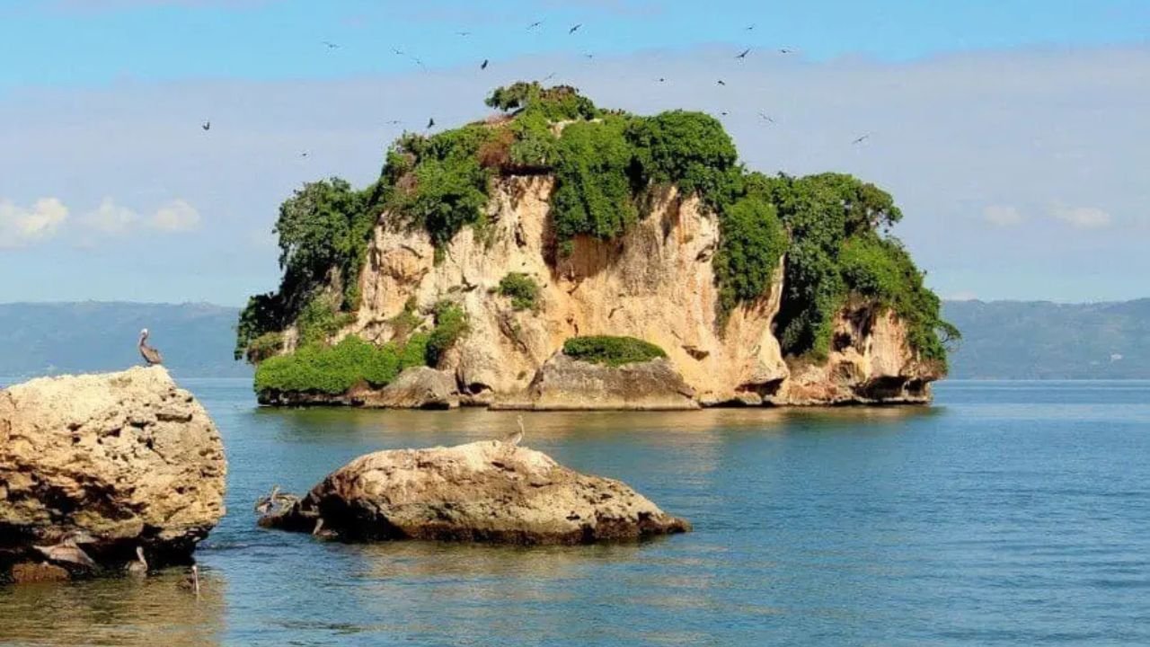 Samana: A Different Dominican Republic